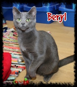 Beryl